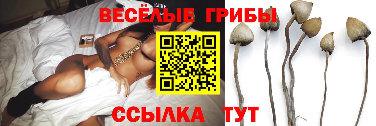 Ноябрьск  Псилоцибиновые грибы Psilocybe  Вход с VPN  Псилоцибиновые грибы GOLDEN TEACHER 